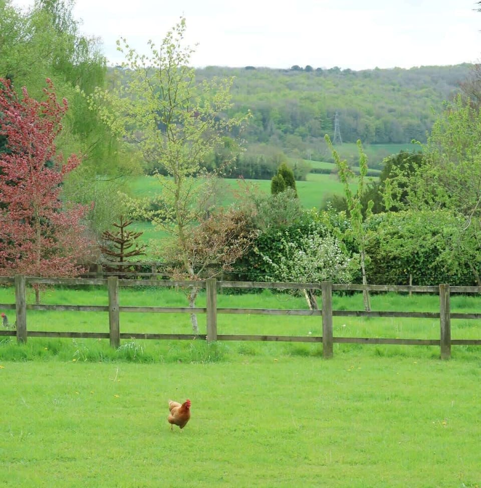 Farm life 