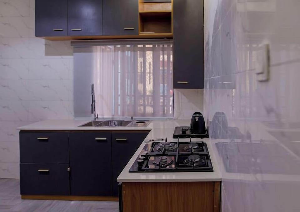 Economy Apartment, Balcony, City View | Private kitchen | Fridge, microwave, oven, stovetop