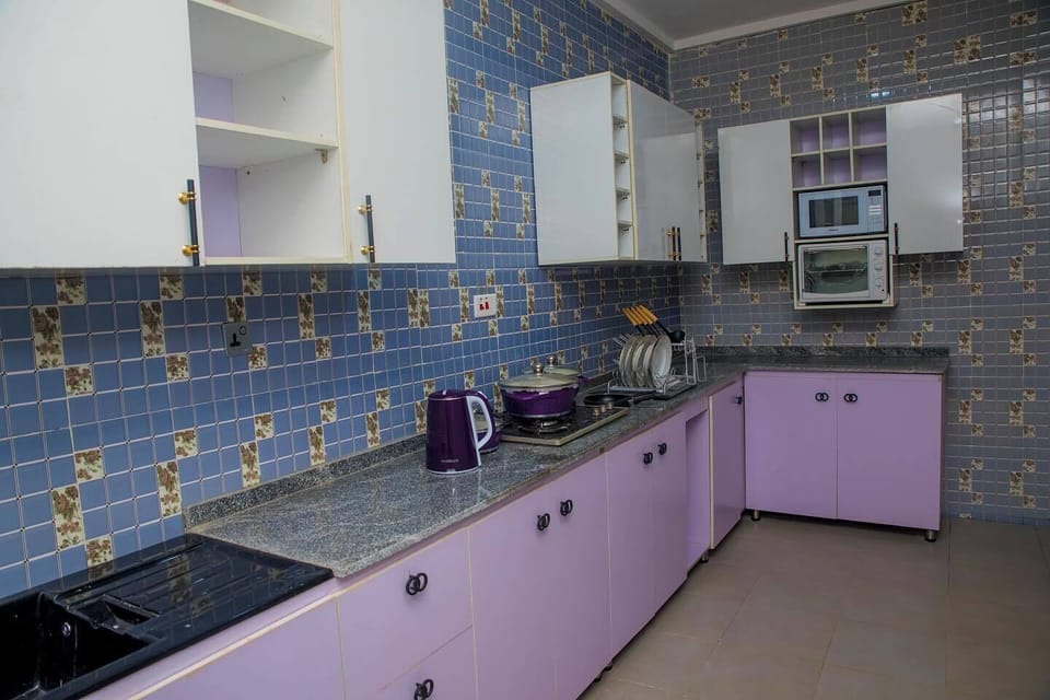 Economy Apartment, Balcony, City View | Private kitchen | Fridge, microwave, oven, stovetop