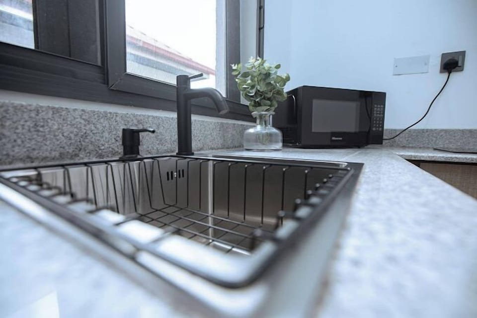 Family Apartment, Balcony, City View | Private kitchen | Fridge, microwave, oven, stovetop