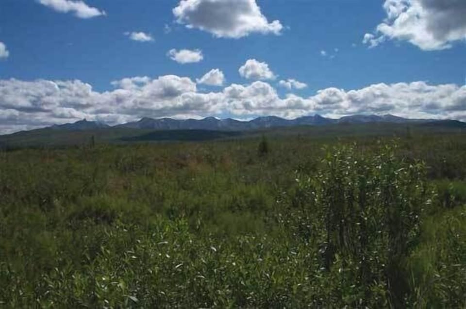 Cabin, 2 Bedrooms (with twin trundle bed) | View from room