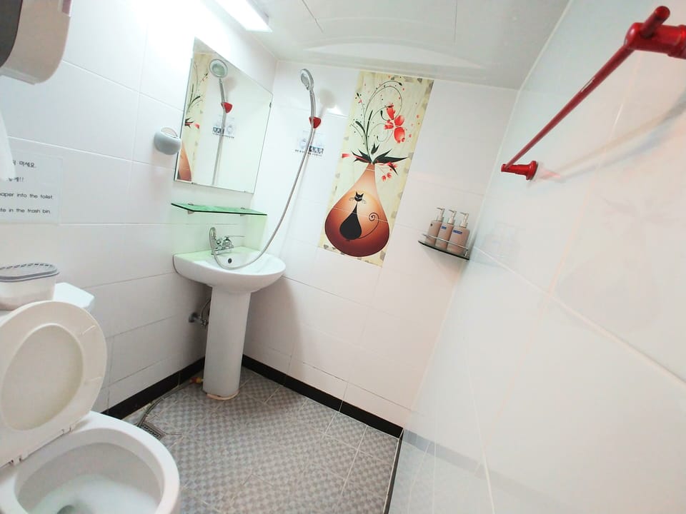 Double Room | Bathroom | Shower, hair dryer, towels