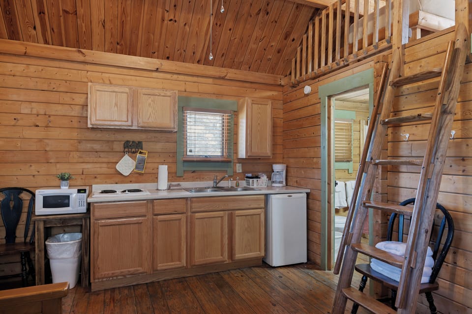 Deluxe Cabin (GC), Kitchenette, Mountain View | Private kitchen | Microwave