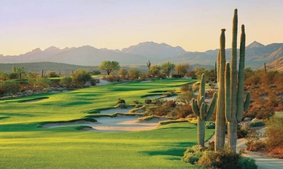 Lots of golf opportunities. 