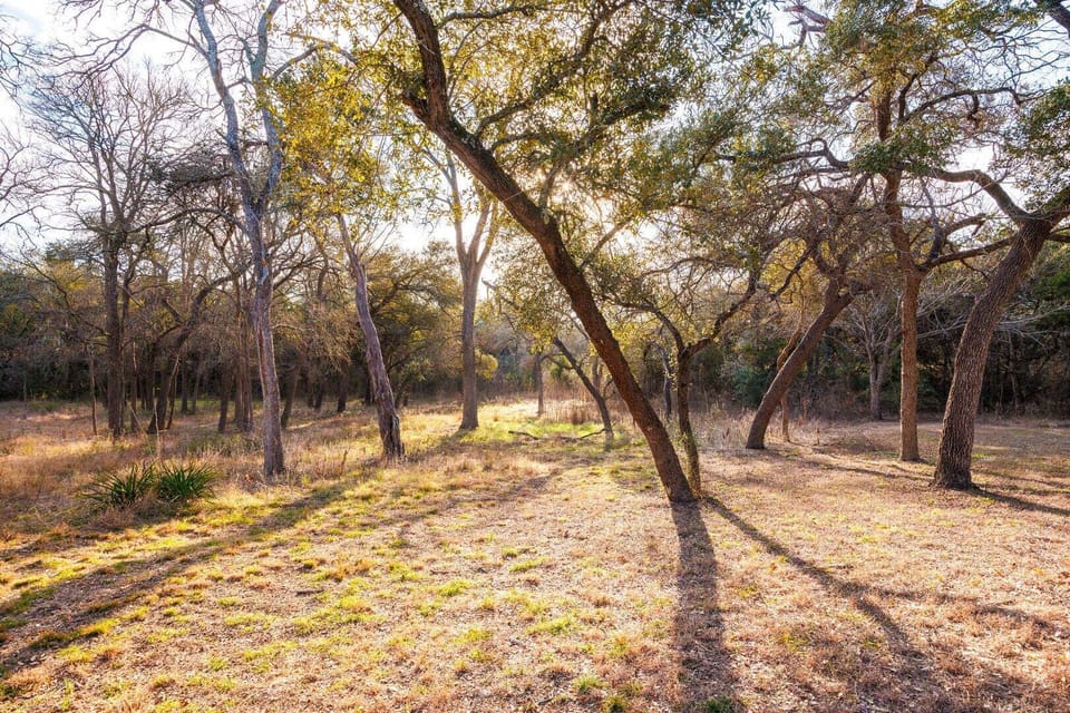Explore the property grounds