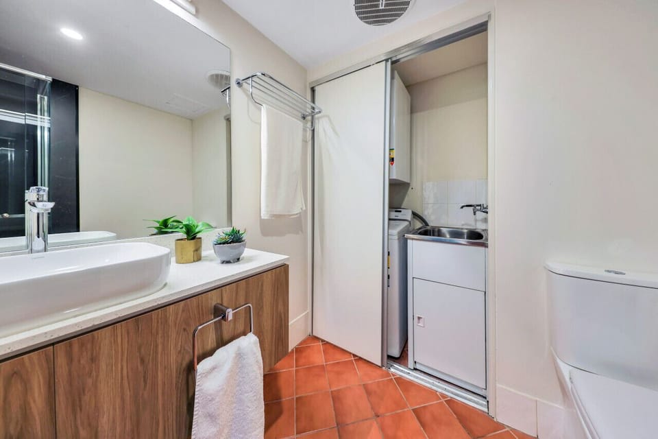Washing Machine and Sink