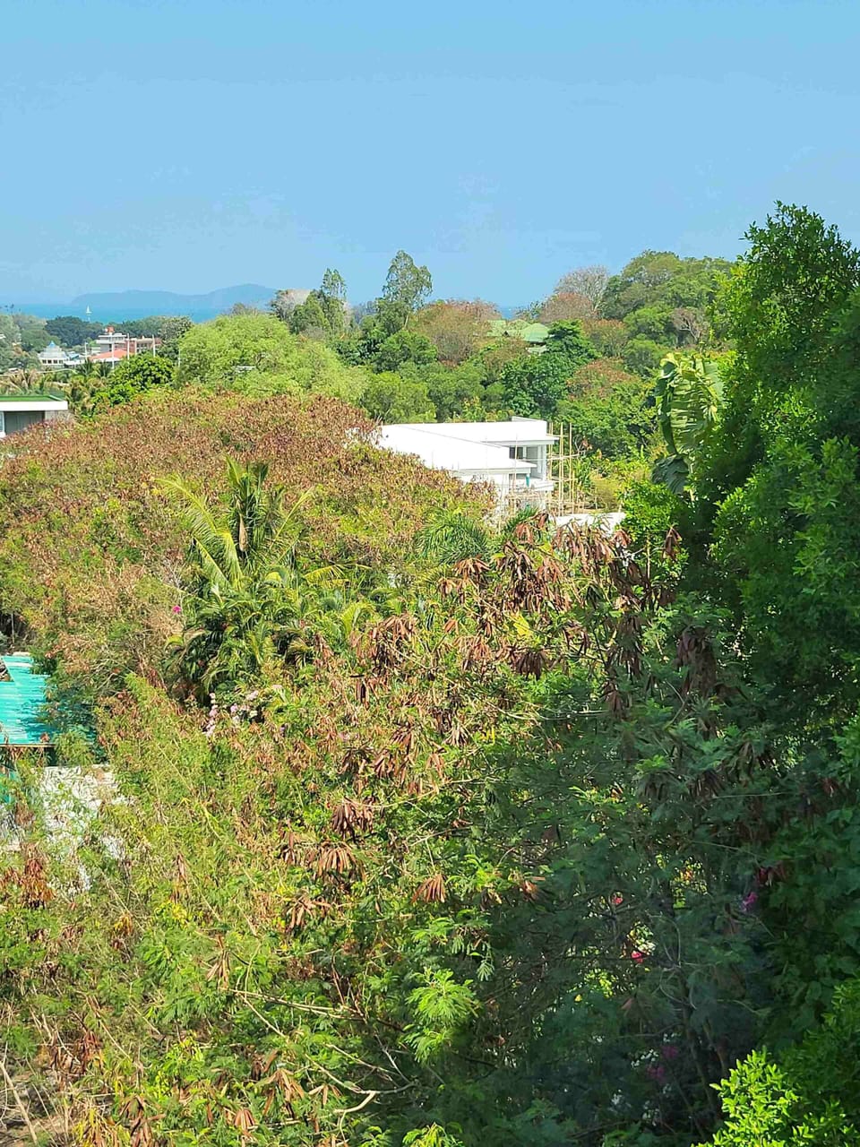 Design Loft, Balcony, Garden View | View from room