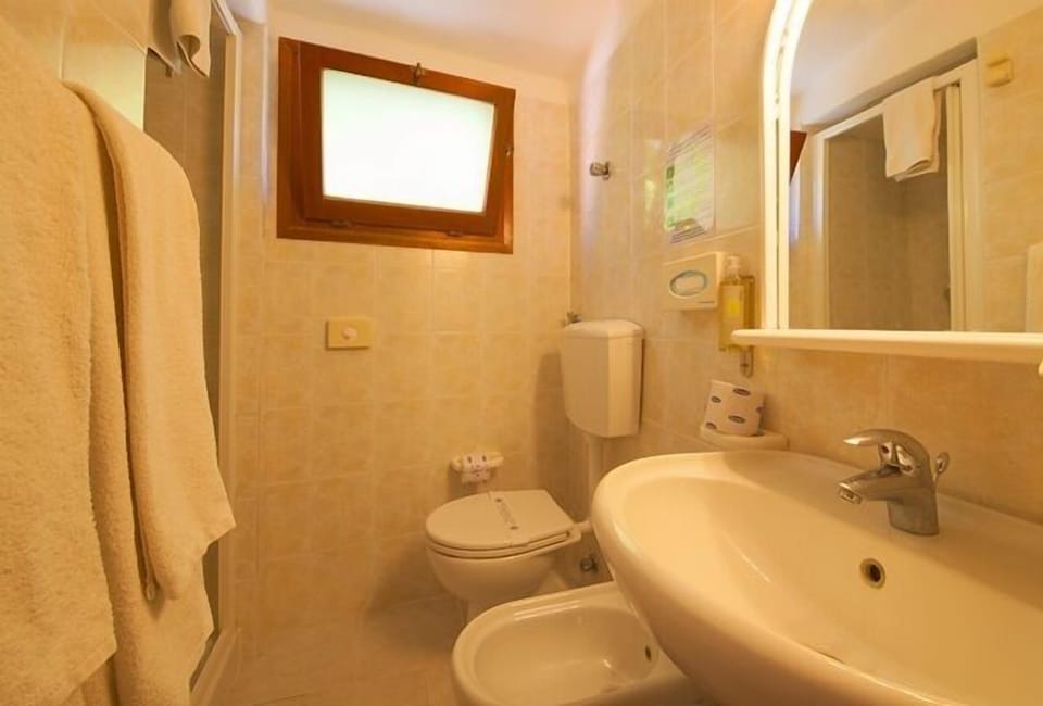 Basic Double or Twin Room | Bathroom | Shower, hair dryer, bidet, towels