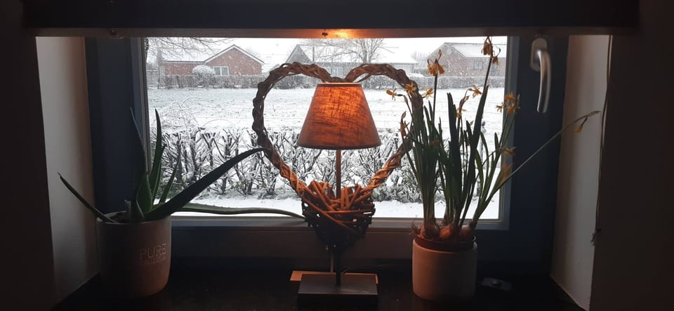 House, 4 Bedrooms, Accessible, Hot Tub | Interior