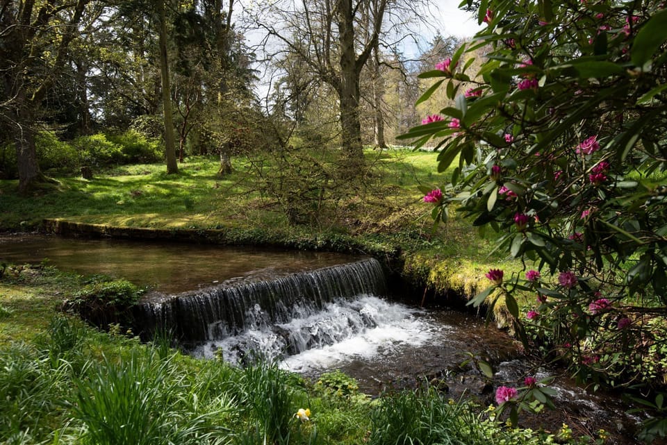 The Hayloft, Kailzie - enjoy the beauty of the woodlands of nearby Kailzie Estate and Gardens