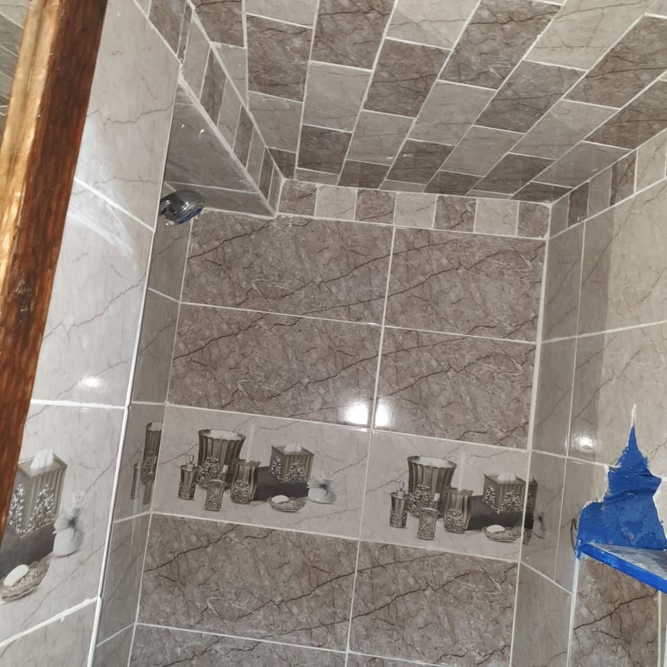 Hair dryer, soap, toilet paper