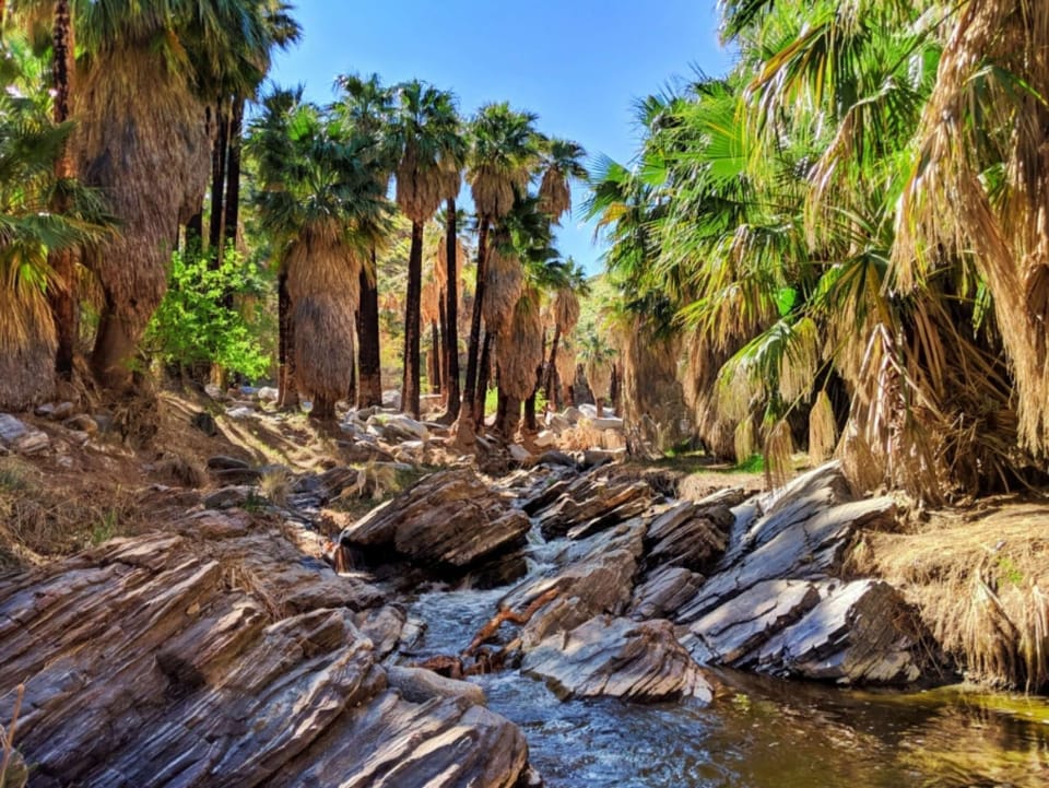 The Indian Canyons, which consist of Palm Canyon, Murray Canyon and Andreas Canyon, sit on the reservation lands of the Agua Caliente Band of Cahuilla Indians, offering 60 miles of peaceful hiking and walking trails, and breathtaking desert scenery.