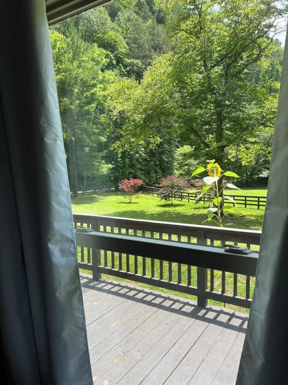 Just outside your window nature is waiting! And now we have a brand new deck! 