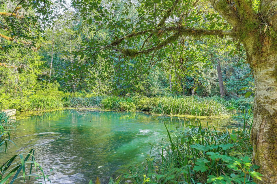 Trout Pond (No Throwback Pond)