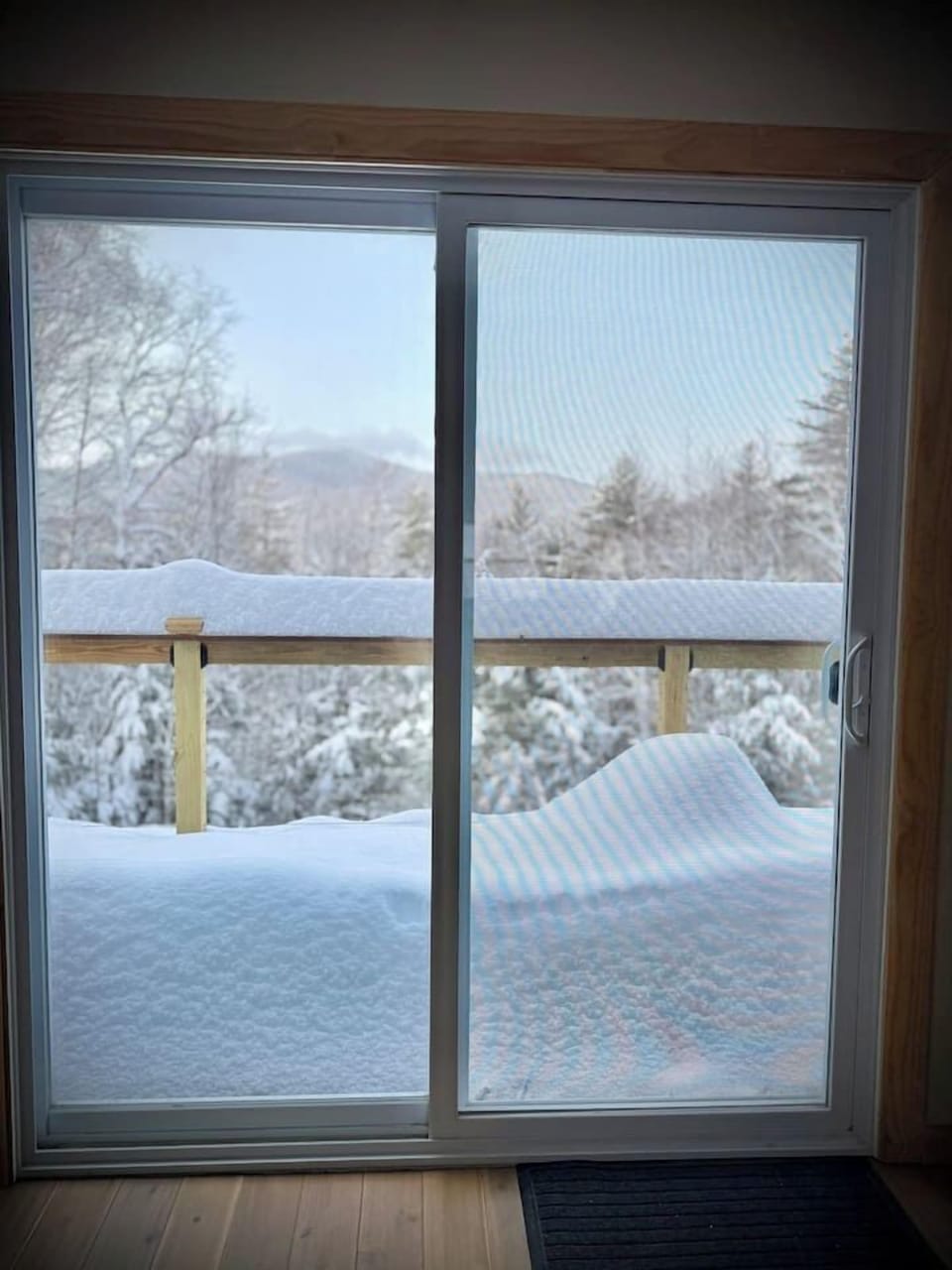 Views of the mountain from the living room