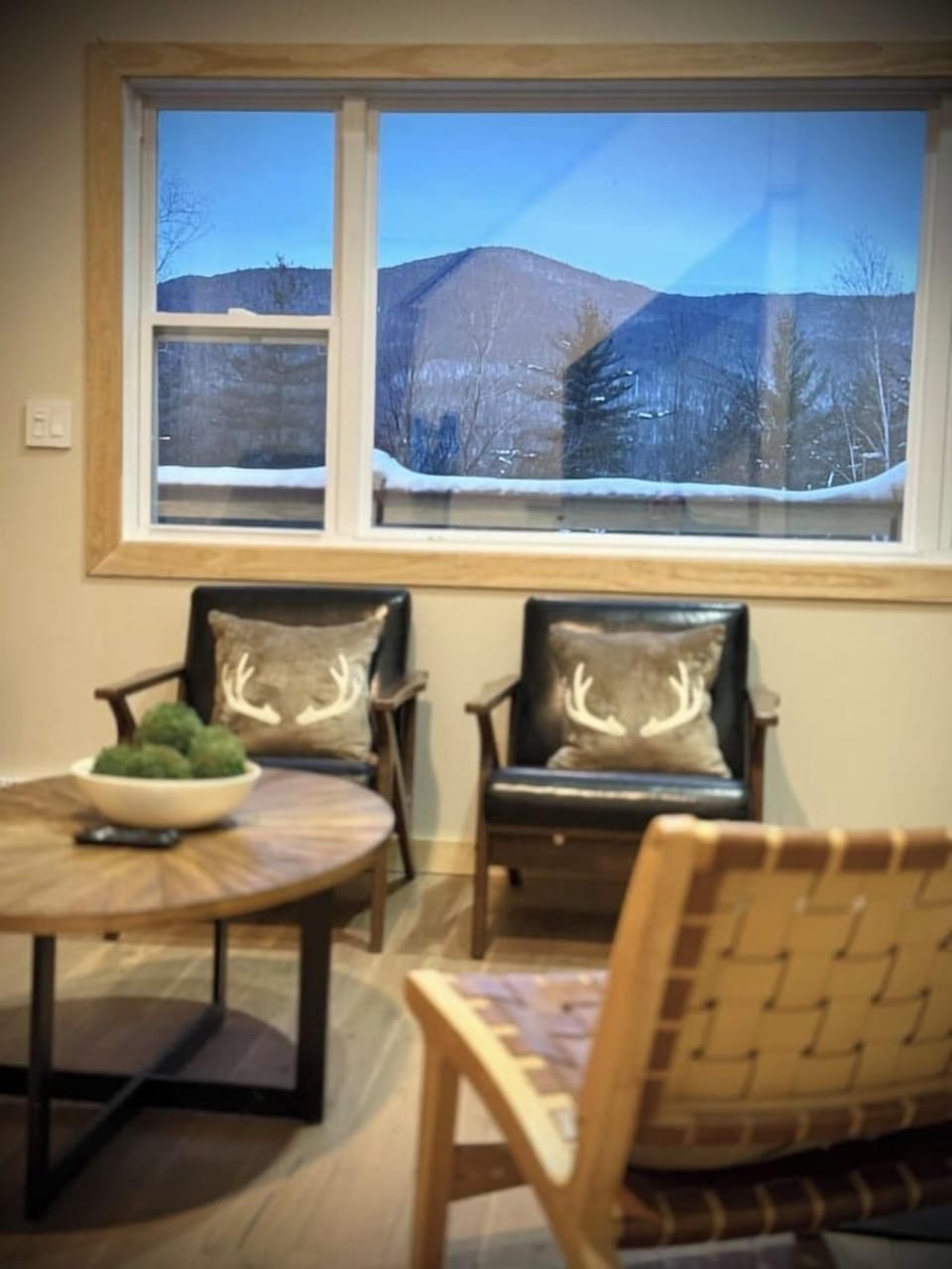 Views of the mountain from the living room