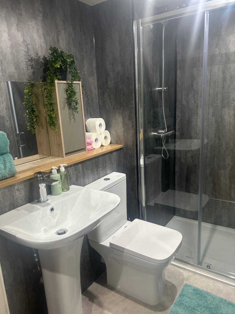 Apartment | Bathroom | Shower, towels, toilet paper