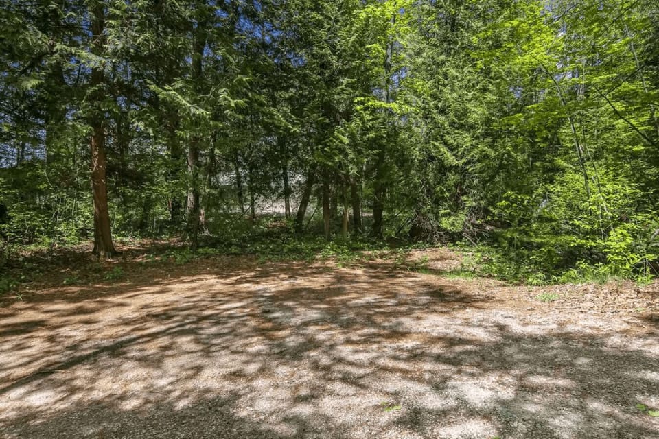 Peaceful Retreat in the Woods.