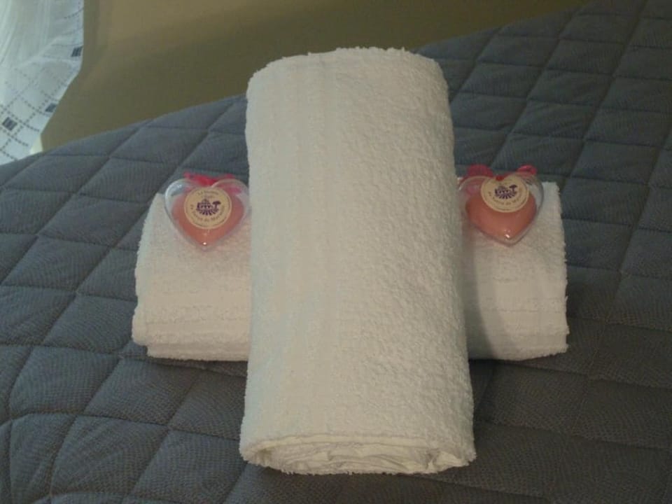Free toiletries, hair dryer, bidet, soap