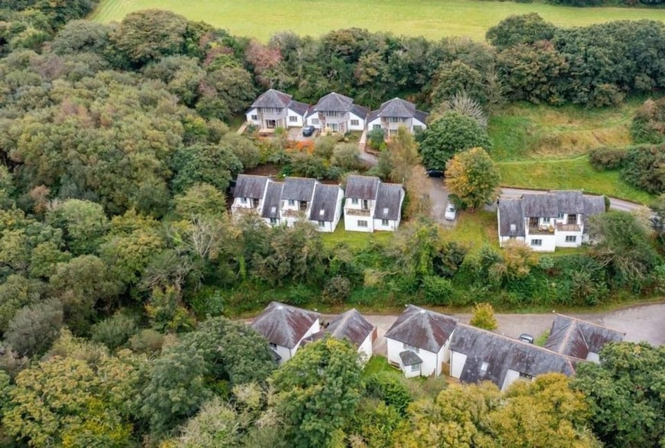 Aerial image of the valley cottages