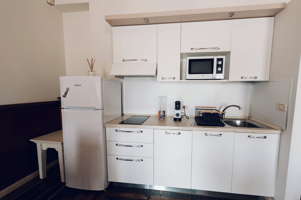 Deluxe Apartment | Private kitchen | Fridge, microwave, oven, stovetop