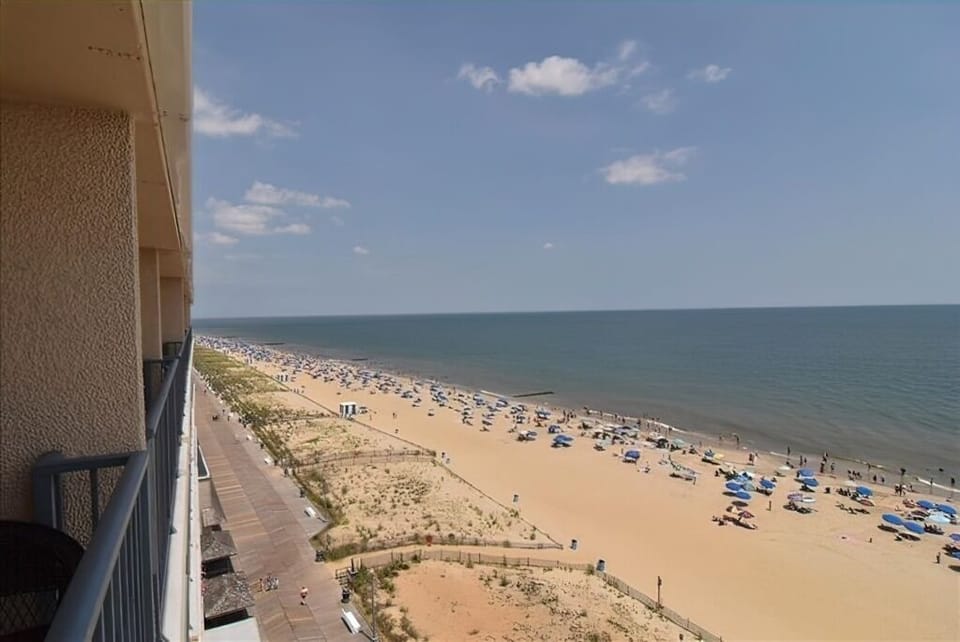Beach View