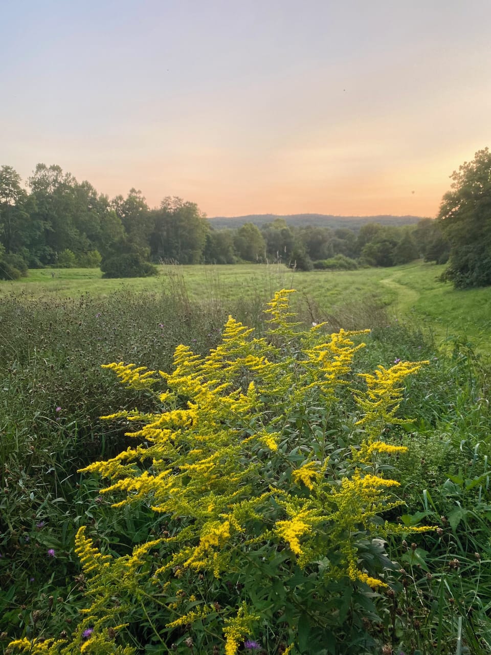 Dusk #nofilter