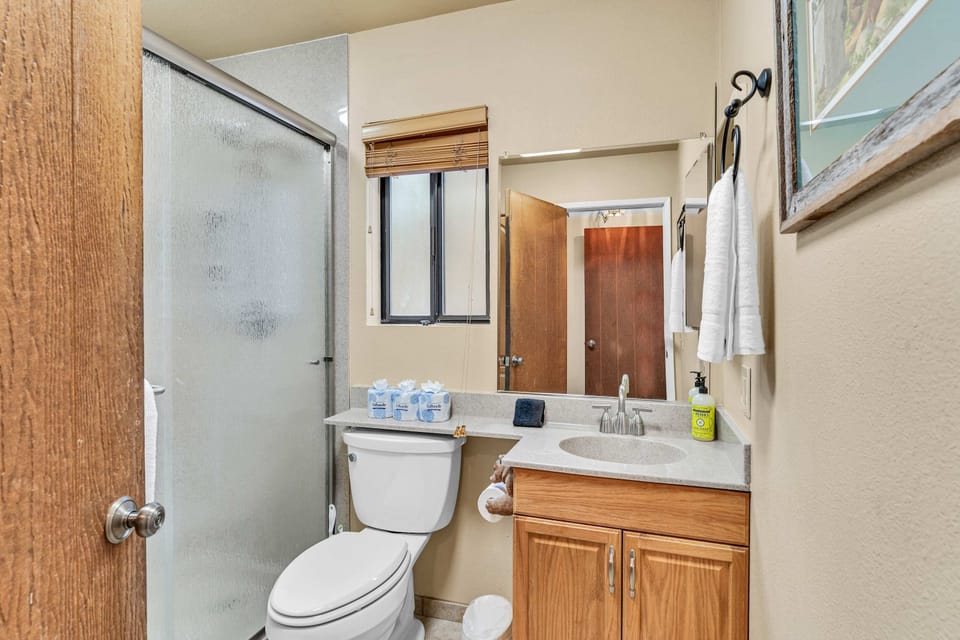 Bathroom 1: Main floor, standing shower, sink, toilet