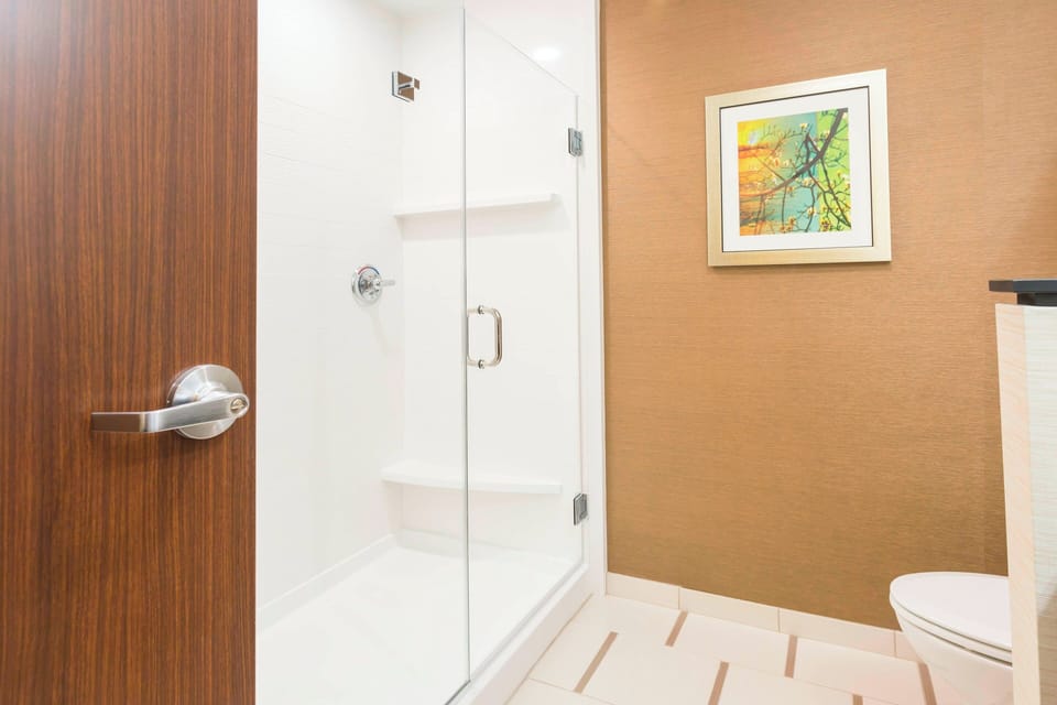 Combined shower/tub, free toiletries, hair dryer, towels