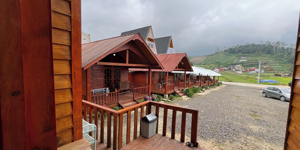 View from room