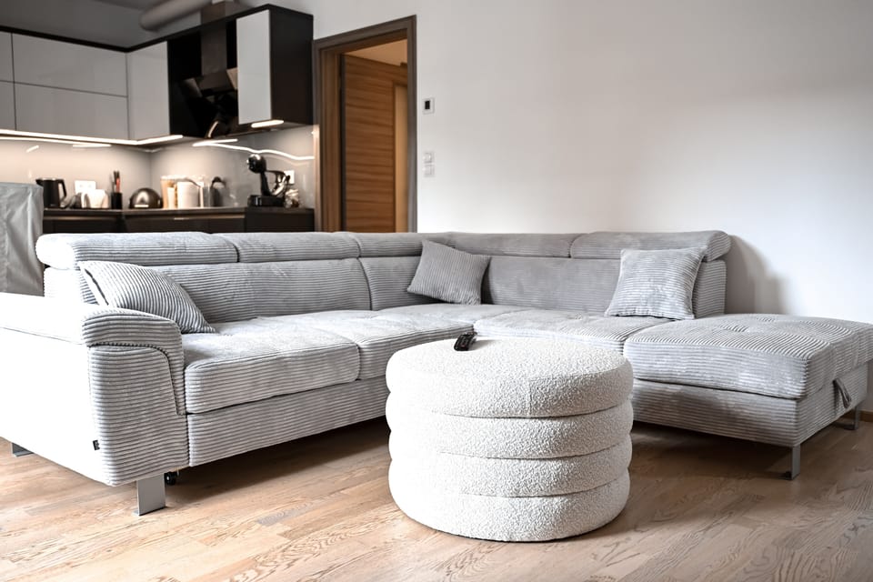 Large, comfortable sofa that is very easy to fold out.