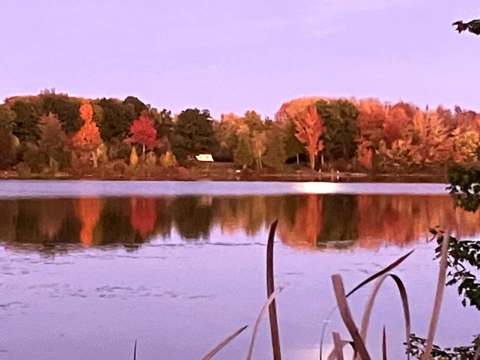 Dusk at Oxbow Lake - Dusk at Oxbow Lake