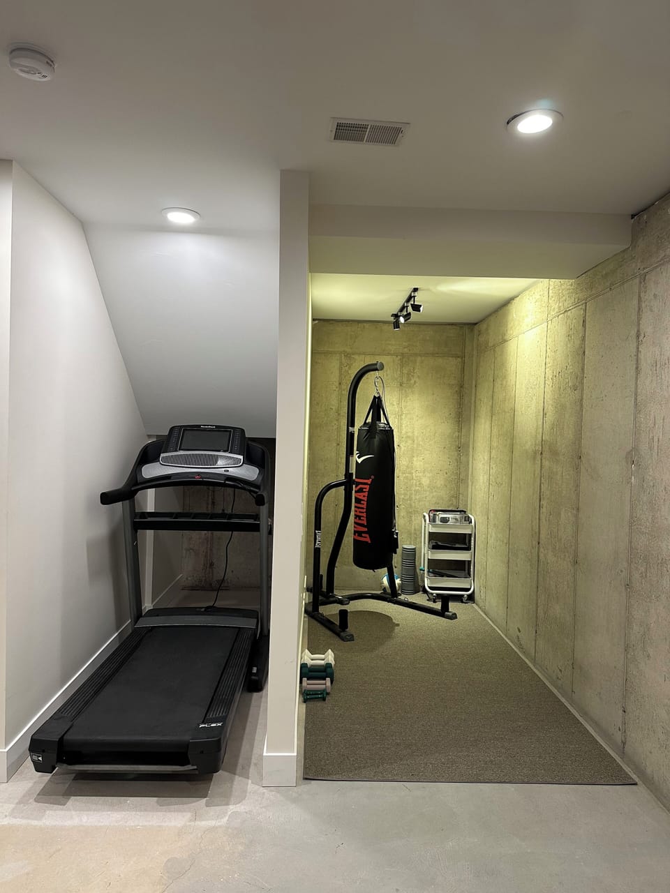 Workout space in the basement includes treadmill, boxing and weights.