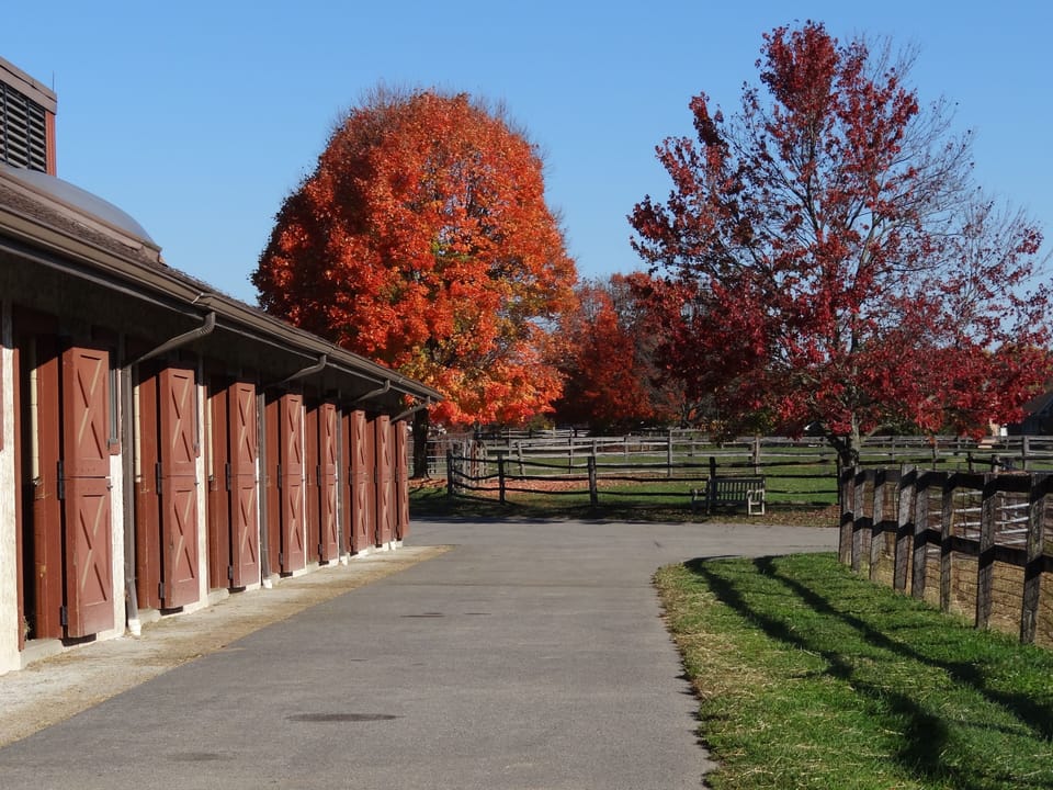 Main horse stable, farm office, breeding & foaling facility.