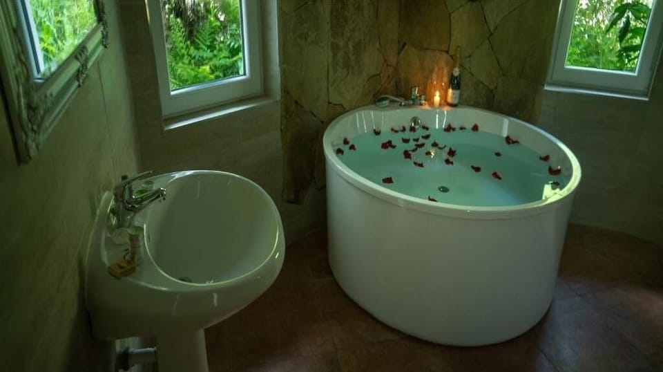Deluxe Double Room | Bathroom | Towels, soap, shampoo, toilet paper