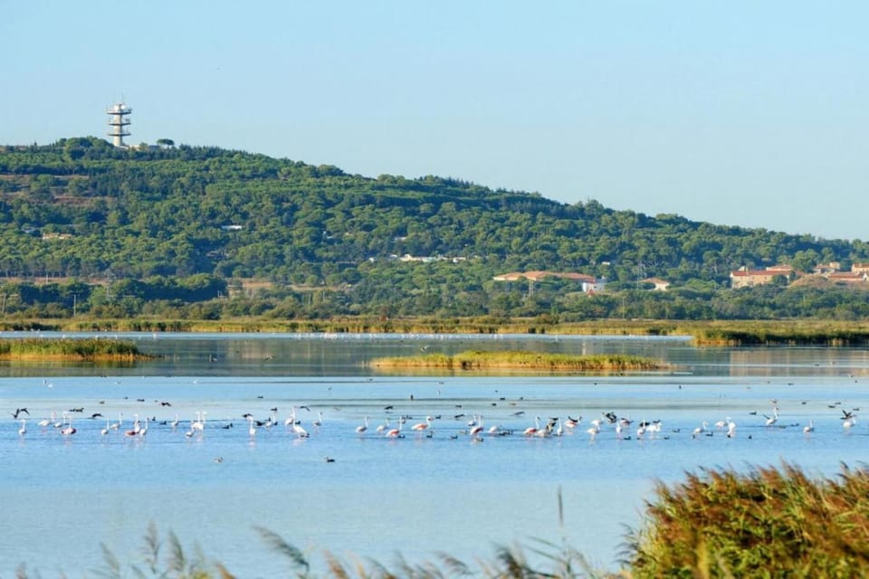 Region [summer] (>5 km)