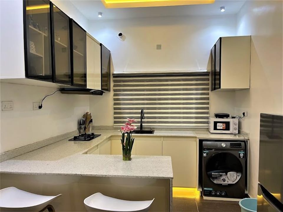 Standard Apartment, Balcony, City View | Private kitchen | Fridge, microwave, oven, stovetop