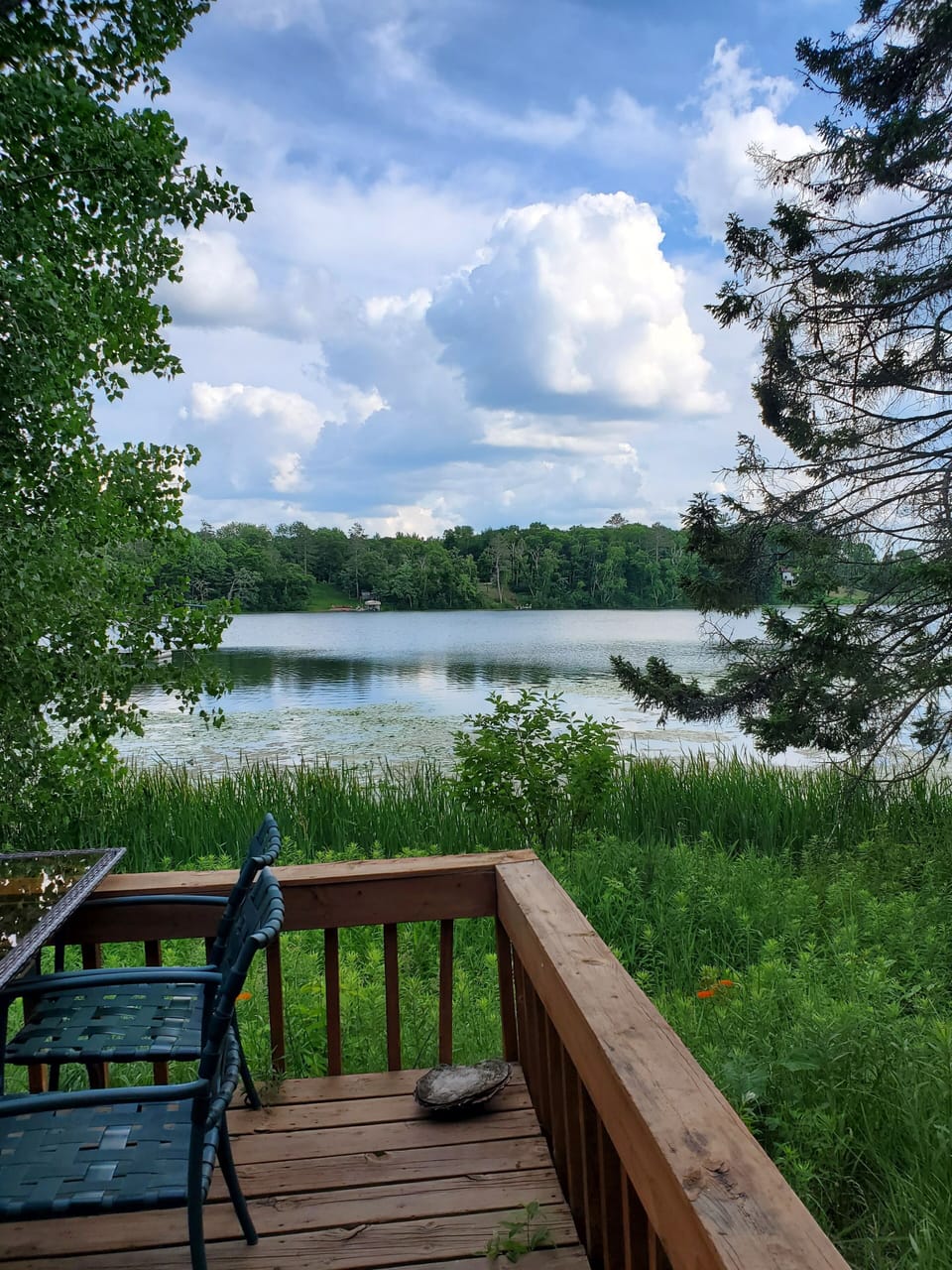 Sit on the deck and enjoy the sites and sounds of this wonderful location