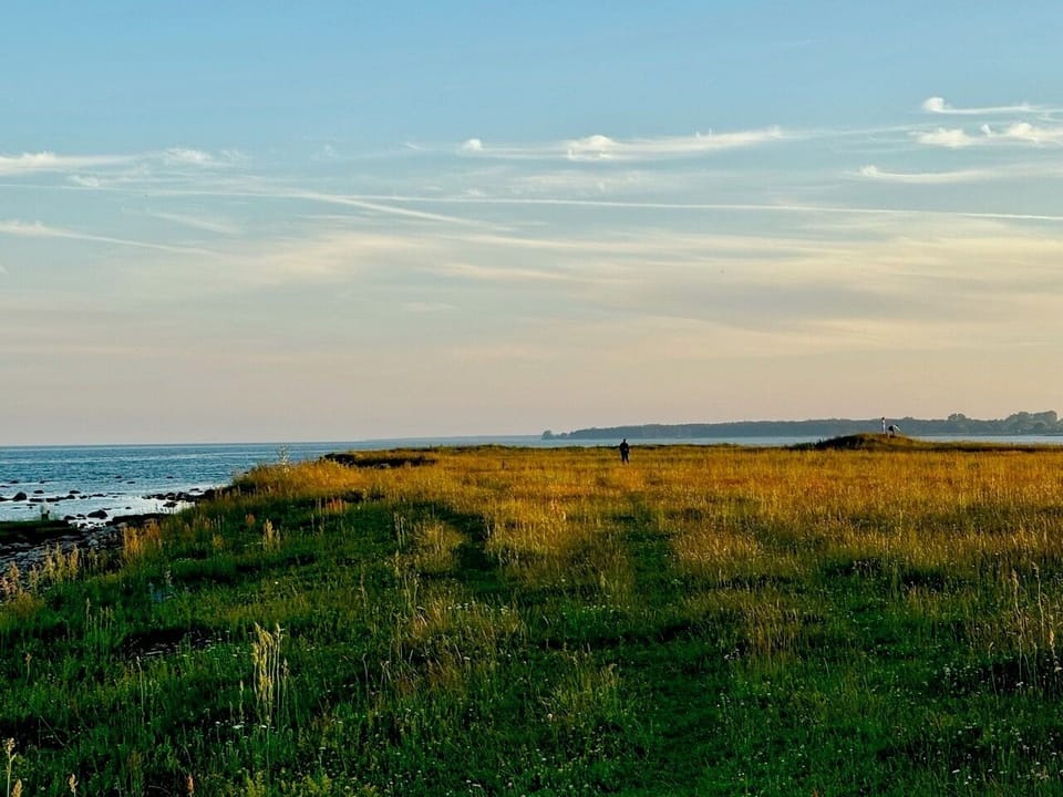 Beach/ocean view