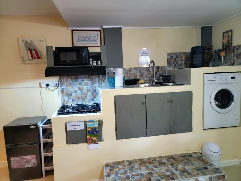 Small kitchen area, step needed to use sink