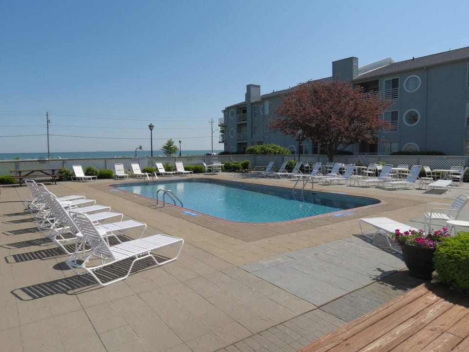 Spacious pool with plenty of lounge chairs 