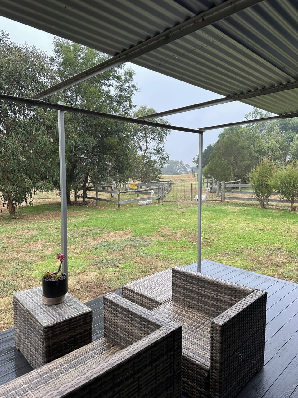 Terrace/patio