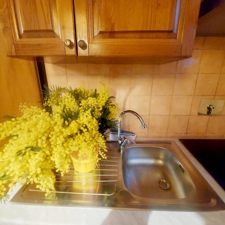 Apartment, 1 Bedroom, City View | Miscellaneous