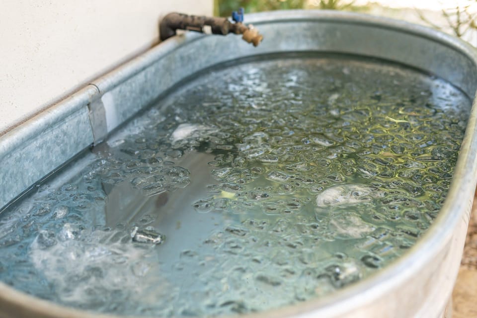 Cold plunge anyone?