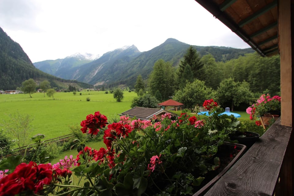 View from Holiday Home [summer]
