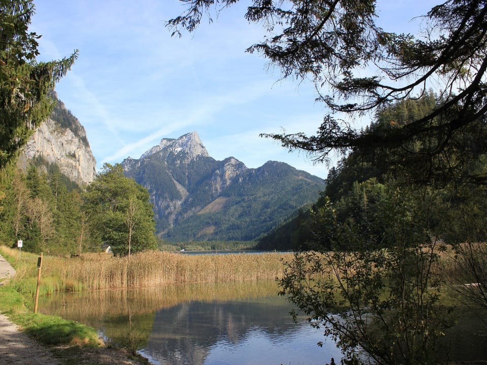 Surroundings [summer] (1-5 km)
