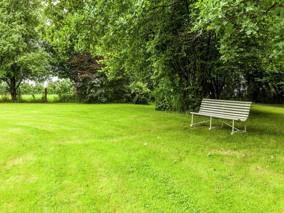 Garden [summer]