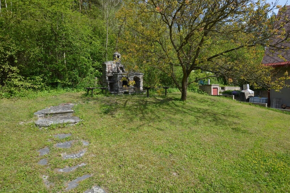 Garden [summer]