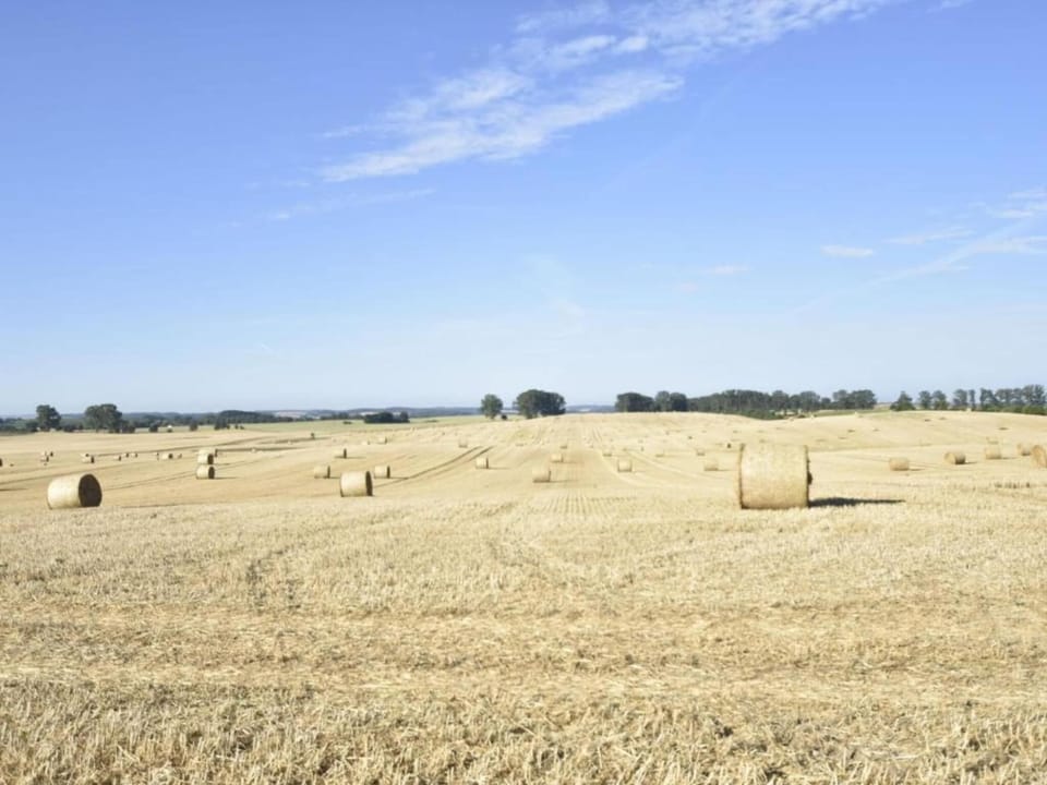 Region [summer] (>5 km)