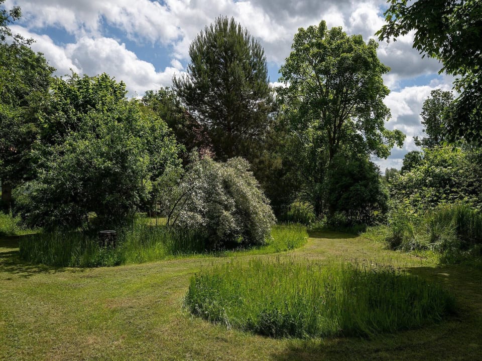 Garden [summer]